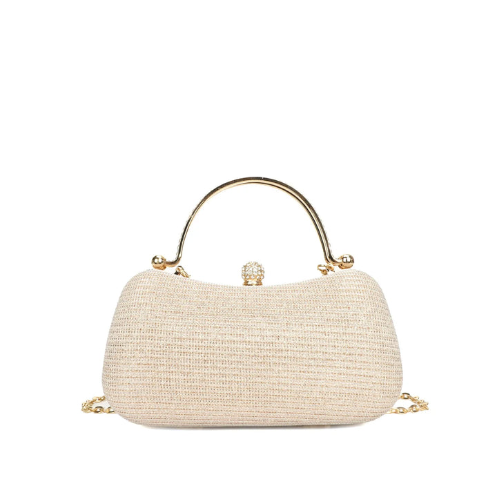 Small Shiny Bag